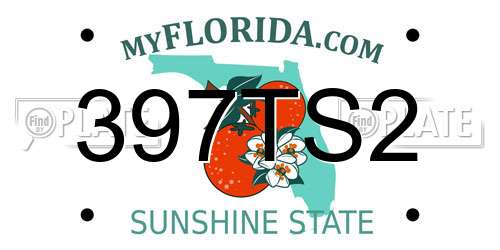 397TS2 Florida License Plate