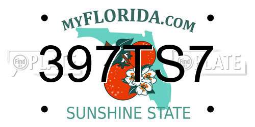 397TS7 Florida License Plate