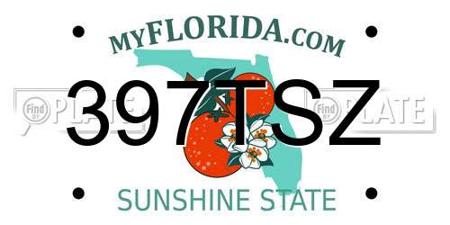 397TSZ Florida License Plate