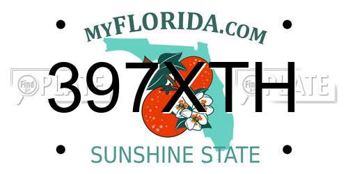 397XTH Florida License Plate