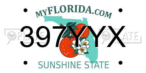 397YYX Florida License Plate