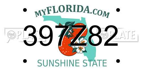 397Z82 Florida License Plate