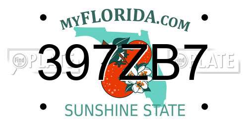 397ZB7 Florida License Plate