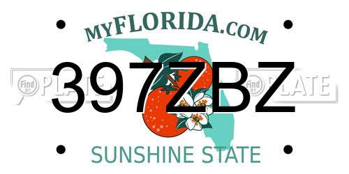 397ZBZ Florida License Plate