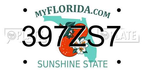 397ZS7 Florida License Plate