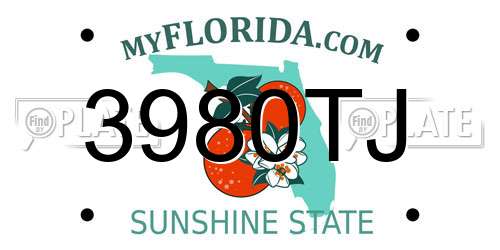 3980TJ Florida License Plate