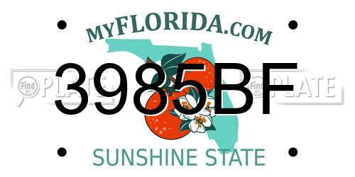 3985BF Florida License Plate