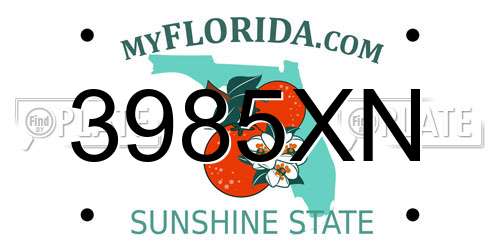 3985XN Florida License Plate