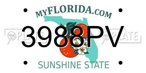 3988PV Florida License Plate