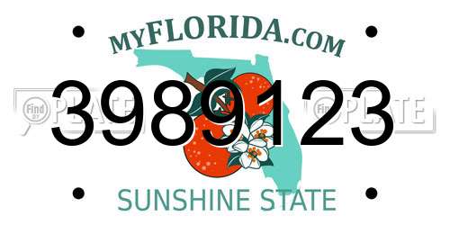 3989123 Florida License Plate
