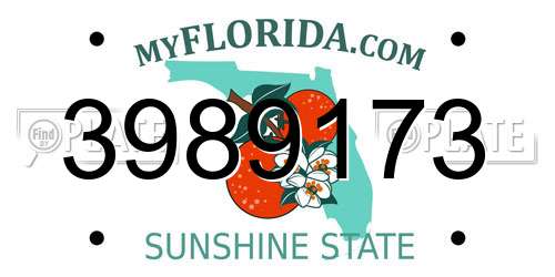 3989173 Florida License Plate