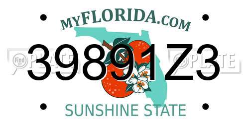 39891Z3 Florida License Plate