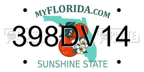 398DV14 Florida License Plate