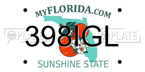 398IGL Florida License Plate