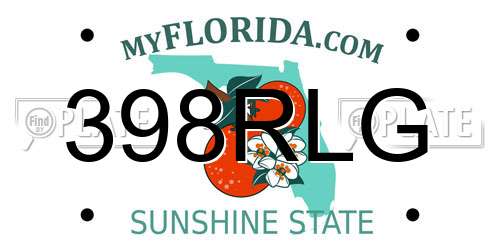398RLG Florida License Plate