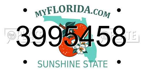 3995458 Florida License Plate