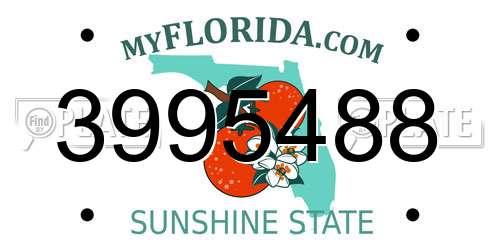 3995488 Florida License Plate