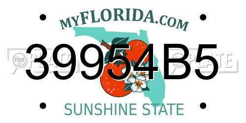 39954B5 Florida License Plate