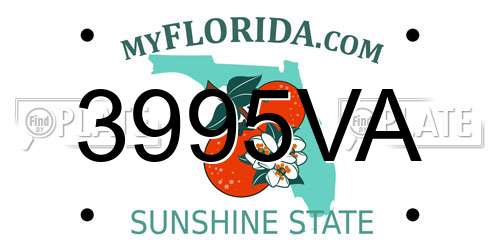 3995VA Florida License Plate