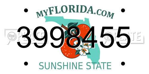 3998455 Florida License Plate