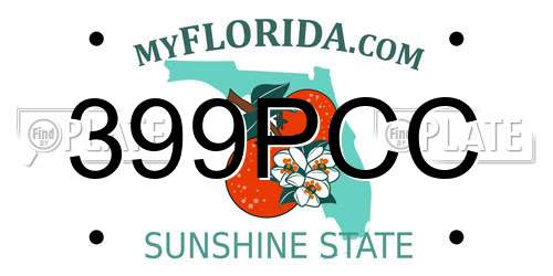 399PCC Florida License Plate
