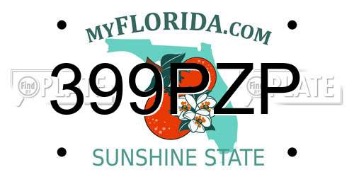399PZP Florida License Plate