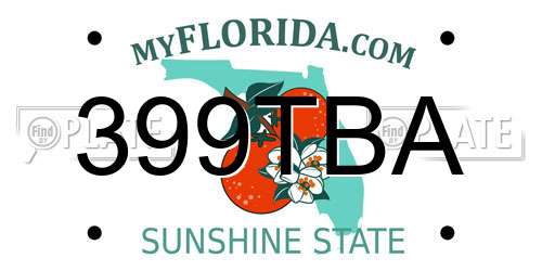 399TBA Florida License Plate