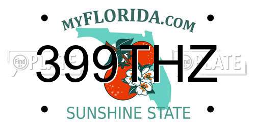 399THZ Florida License Plate