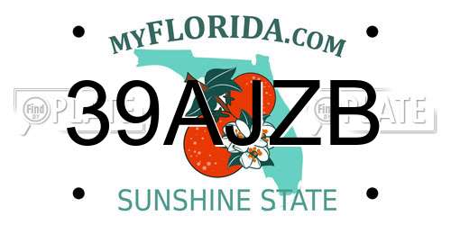 39AJZB Florida License Plate