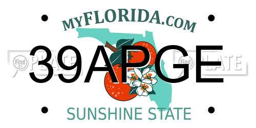 39APGE Florida License Plate