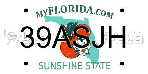39ASJH Florida License Plate