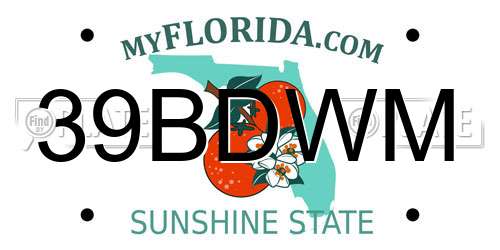 39BDWM Florida License Plate