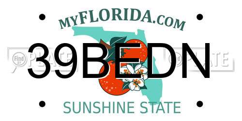 39BEDN Florida License Plate