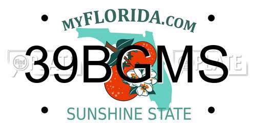 39BGMS Florida License Plate