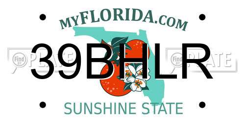 39BHLR Florida License Plate