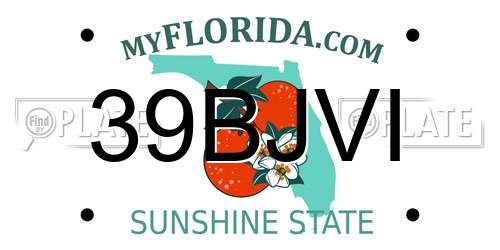 39BJVI Florida License Plate