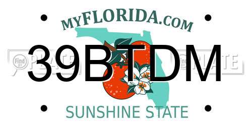 39BTDM Florida License Plate