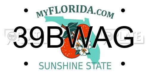 39BWAG Florida License Plate