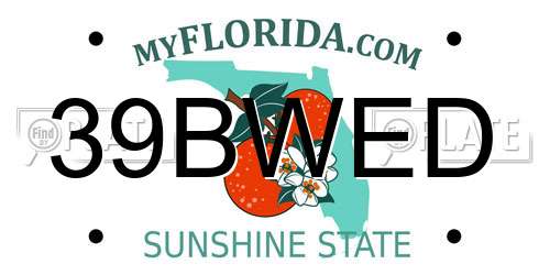 39BWED Florida License Plate