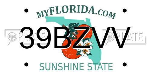 39BZVV Florida License Plate