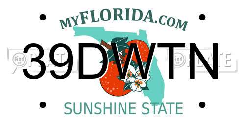 39DWTN Florida License Plate