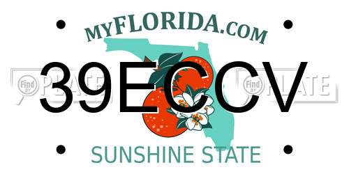 39ECCV Florida License Plate