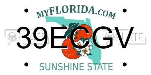39ECGV Florida License Plate