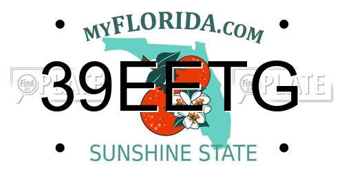 39EETG Florida License Plate