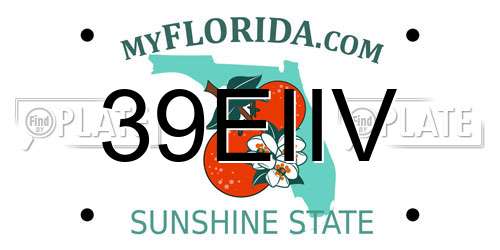 39EIIV Florida License Plate
