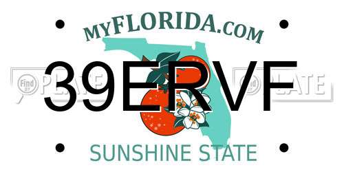 39ERVF Florida License Plate