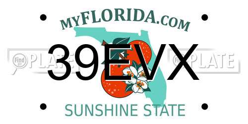 39EVX Florida License Plate