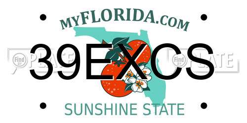 39EXCS Florida License Plate