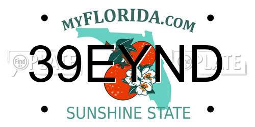 39EYND Florida License Plate