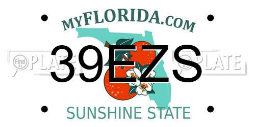 39EZS Florida License Plate